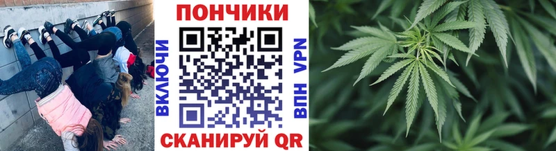 Как найти закладки Алзамай АМФЕТАМИН  СК  МЕФ  Галлюциногенные грибы  Гашиш  Конопля 