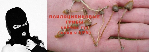 мескалин Алексин