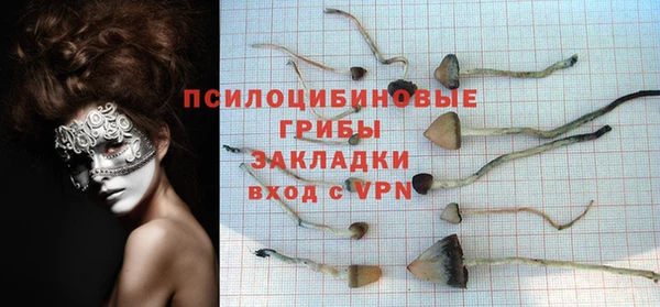 мескалин Алексин