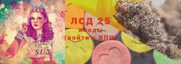 гидра Алзамай